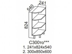 С300то Стол-рабочий 300 (торцевой открытый) в Верхней Салде - verhnyaya-salda.magazin-mebel74.ru | фото