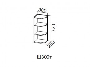 Ш300т/720 Шкаф навесной 300/720 (торцевой) в Верхней Салде - verhnyaya-salda.magazin-mebel74.ru | фото