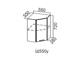 Ш550у/720 Шкаф навесной 550/720 (угловой) в Верхней Салде - verhnyaya-salda.magazin-mebel74.ru | фото