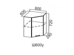 Ш600у/720 Шкаф навесной 600/720 (угловой) в Верхней Салде - verhnyaya-salda.magazin-mebel74.ru | фото